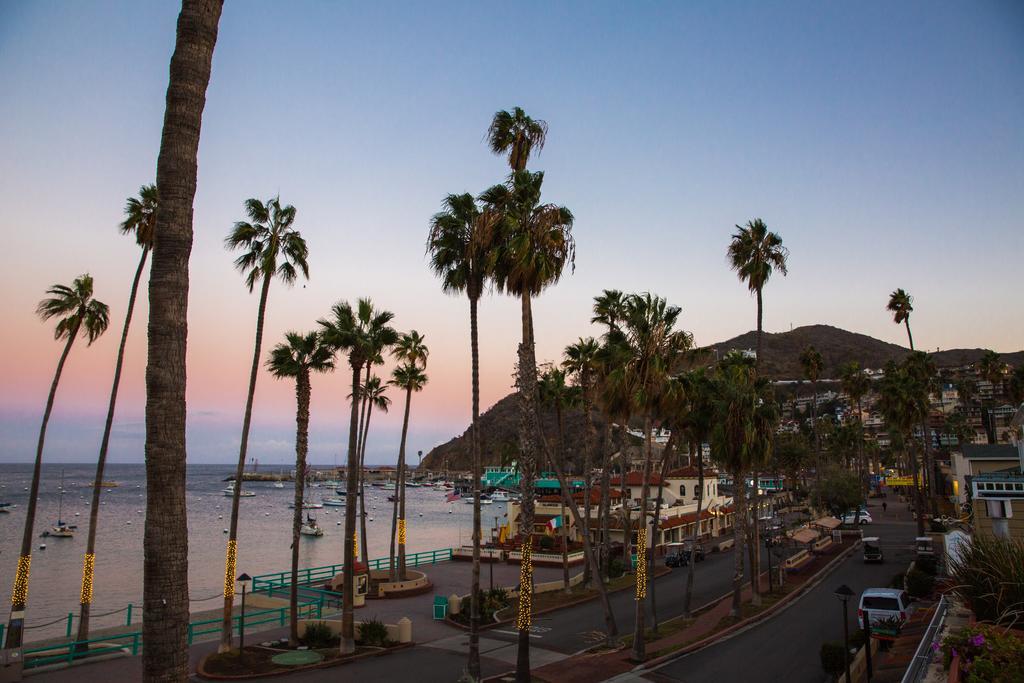 Bellanca Hotel Avalon Luaran gambar